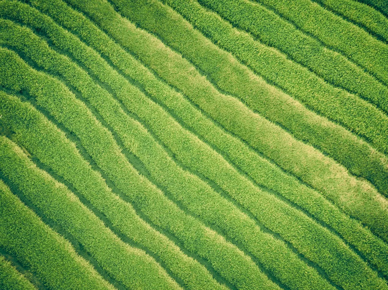 地表纹理与农业景观的真实航拍